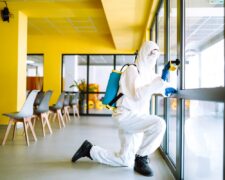Dezynsekcja w hotelach i restauracjach